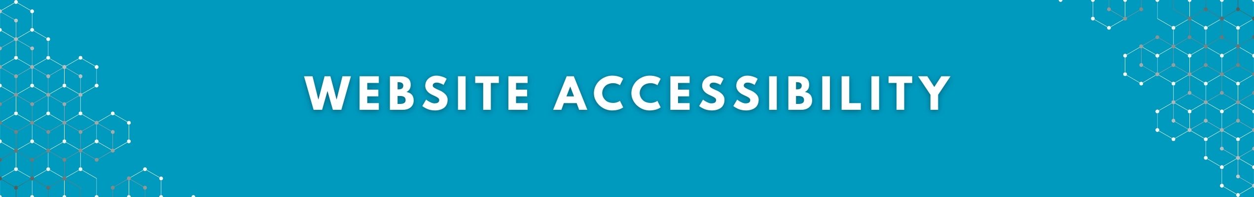 Website Accessibility